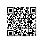 RNCF1206BTE13K2 QRCode