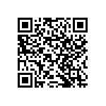 RNCF1206BTE13K7 QRCode