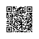 RNCF1206BTE1K91 QRCode