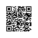 RNCF1206BTE1M33 QRCode