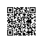 RNCF1206BTE243R QRCode