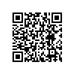 RNCF1206BTE4K12 QRCode