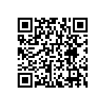 RNCF1206BTE4K32 QRCode