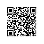 RNCF1206BTE866K QRCode