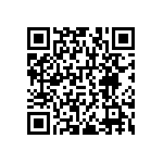 RNCF1206DKE953R QRCode