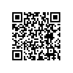 RNCF1206DTC102R QRCode
