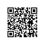 RNCF1210DTC383K QRCode