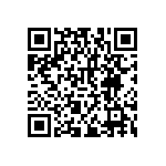 RNCF2512BKE11K0 QRCode