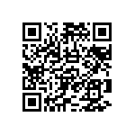 RNCF2512BKE13R0 QRCode