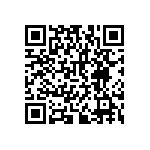 RNCF2512BKE300R QRCode