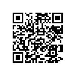 RNCF2512BKE33K0 QRCode