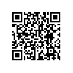 RNCF2512BTC133R QRCode