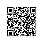 RNCF2512BTC383R QRCode