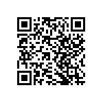 RNCF2512BTE2M32 QRCode