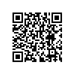 RNCF2512BTE39K2 QRCode