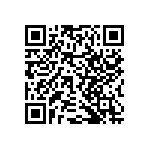 RNCF2512BTE3K30 QRCode