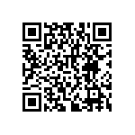 RNCF2512DKE383K QRCode