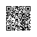 RNCF2512DTC13R3 QRCode