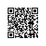 RNCF2512DTC29R4 QRCode
