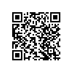 RNCF2512DTE17K4 QRCode