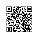 RNCF2512DTE1K87 QRCode