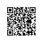 RNCF2512DTE29R4 QRCode