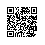 RNCF2512DTE365K QRCode