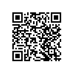 RNCF2512DTE38R3 QRCode