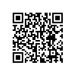 RNCF2512DTE3R32 QRCode