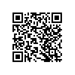 RNCF2512DTE487K QRCode