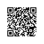 RNCP0805FTD301R QRCode