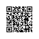 RNCS1206BKE9K53 QRCode