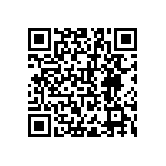 RNR55J1002BRBSL QRCode