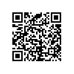 RNR55J2802BSRE6 QRCode