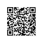 RNR55J3611BSBSL QRCode