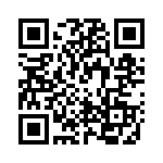 RP420110 QRCode