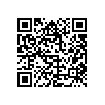 RP73D2A9K53BTDF QRCode