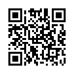 RSA30DTKT-S288 QRCode