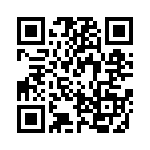 RSF2JT300R QRCode