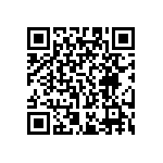 RT0201FRE071K13L QRCode