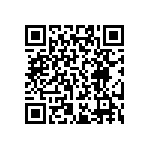 RT0402FRD071K13L QRCode