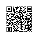 RT0805BRC07300KL QRCode