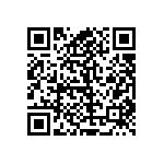 RT1206BRB0713KL QRCode