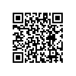 RT1206BRD0743R2L QRCode