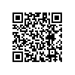 RT1206BRE0743KL QRCode