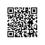 RT1206BRE0763R4L QRCode