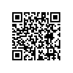 RT1206CRB07133RL QRCode