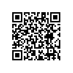 RT1206CRB071K02L QRCode