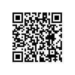 RT1206CRB0723K2L QRCode