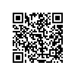 RT1206CRB07243RL QRCode